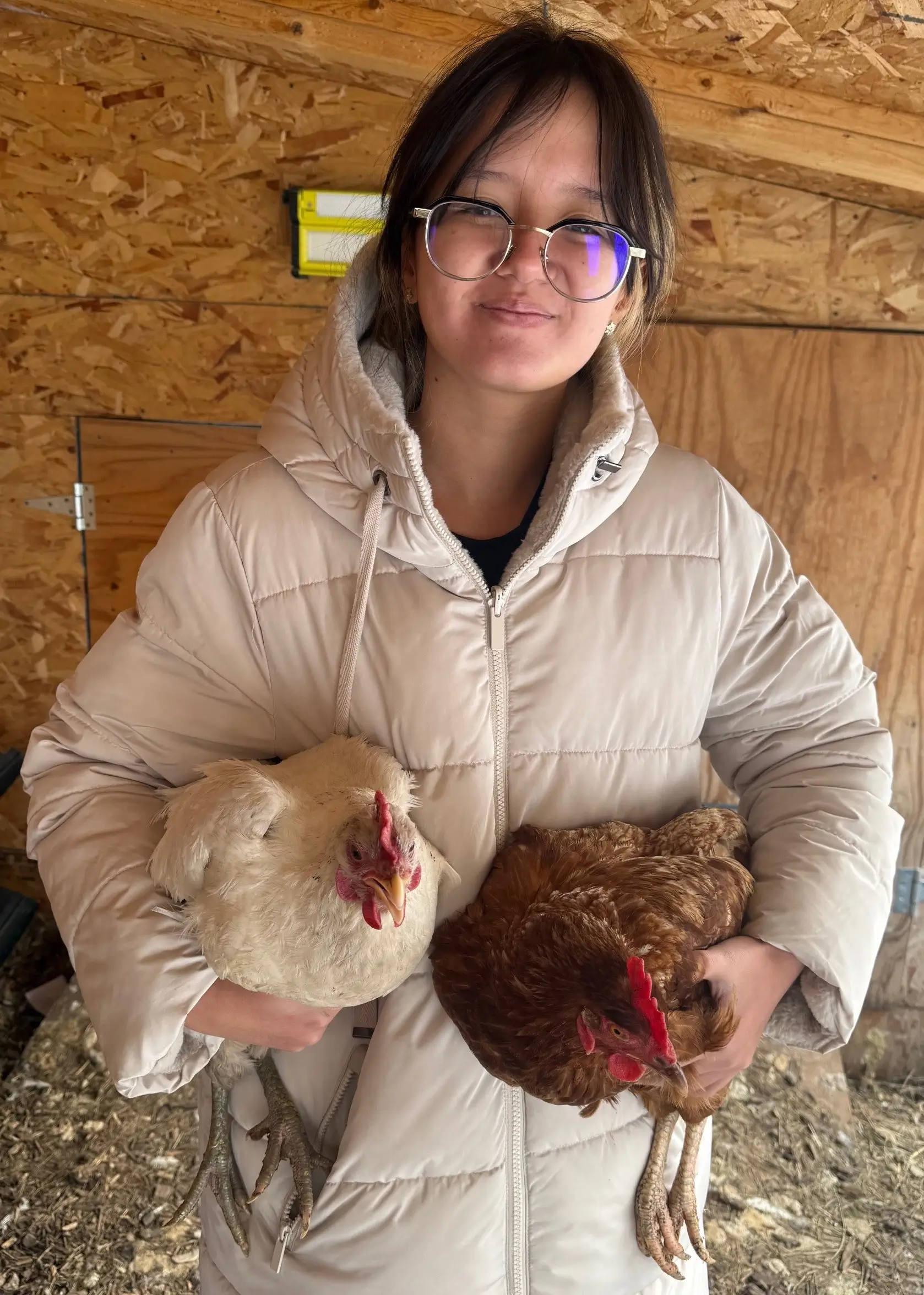 Chicken Coop
