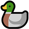 Duck
